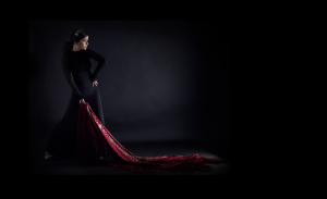 Marta Aramburu Flamenco